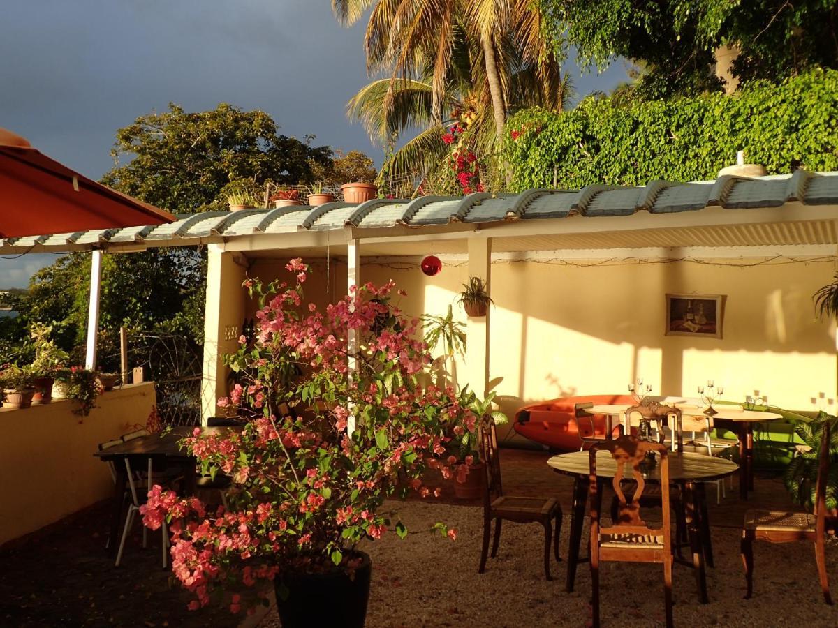 Le Cactus Guesthouse Terre Rouge  Zewnętrze zdjęcie